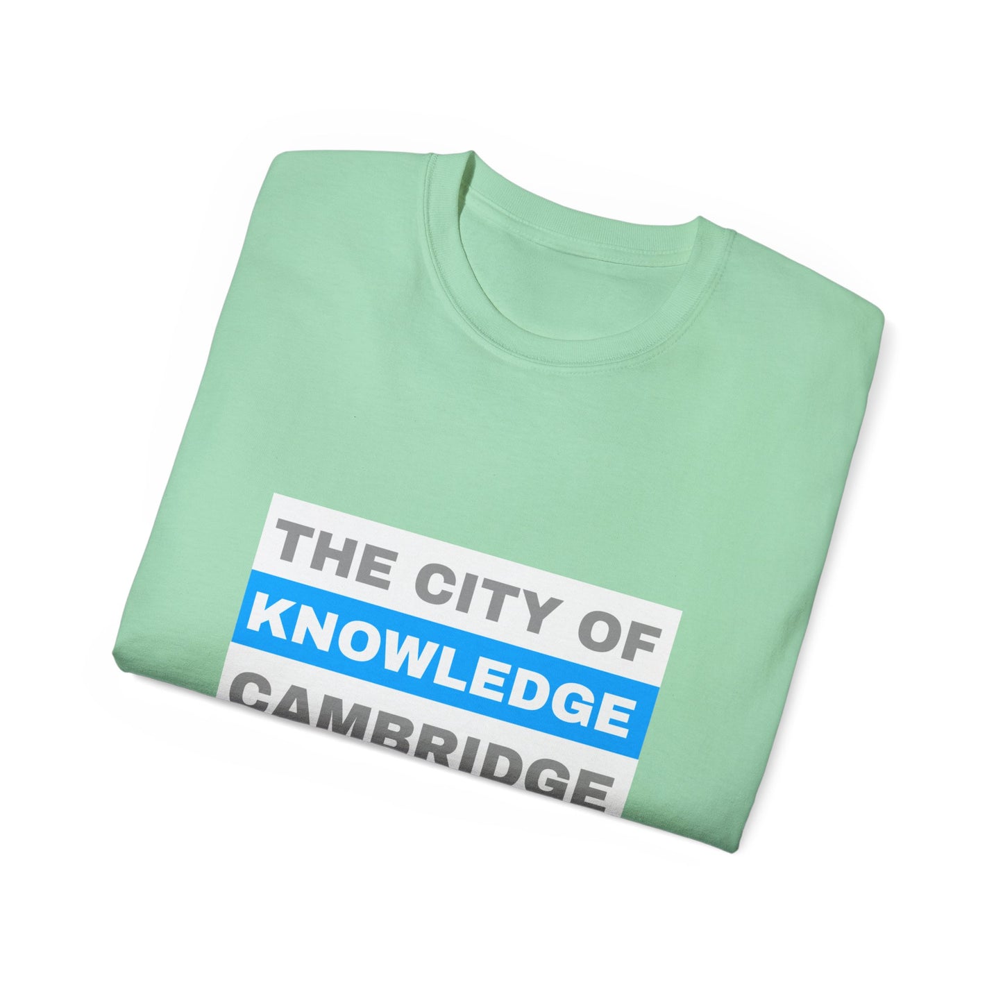 Unisex Ultra Cotton Tee with cambridge city Design | OKEYCITY