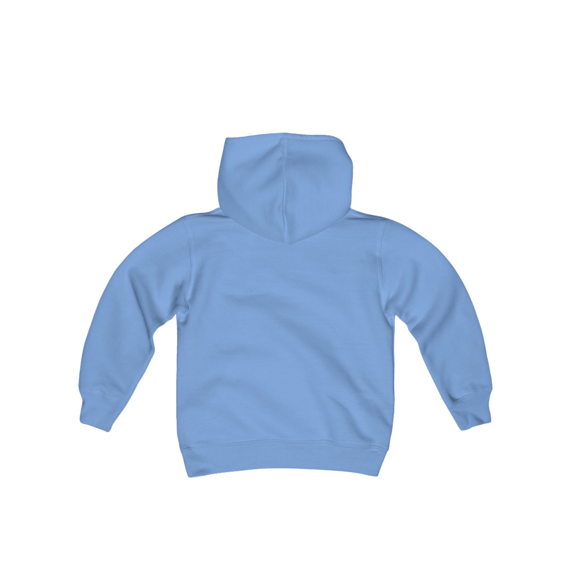 Youth Heavy Blend Hooded Sweatshirt with vector lion Design | OKEYCITY