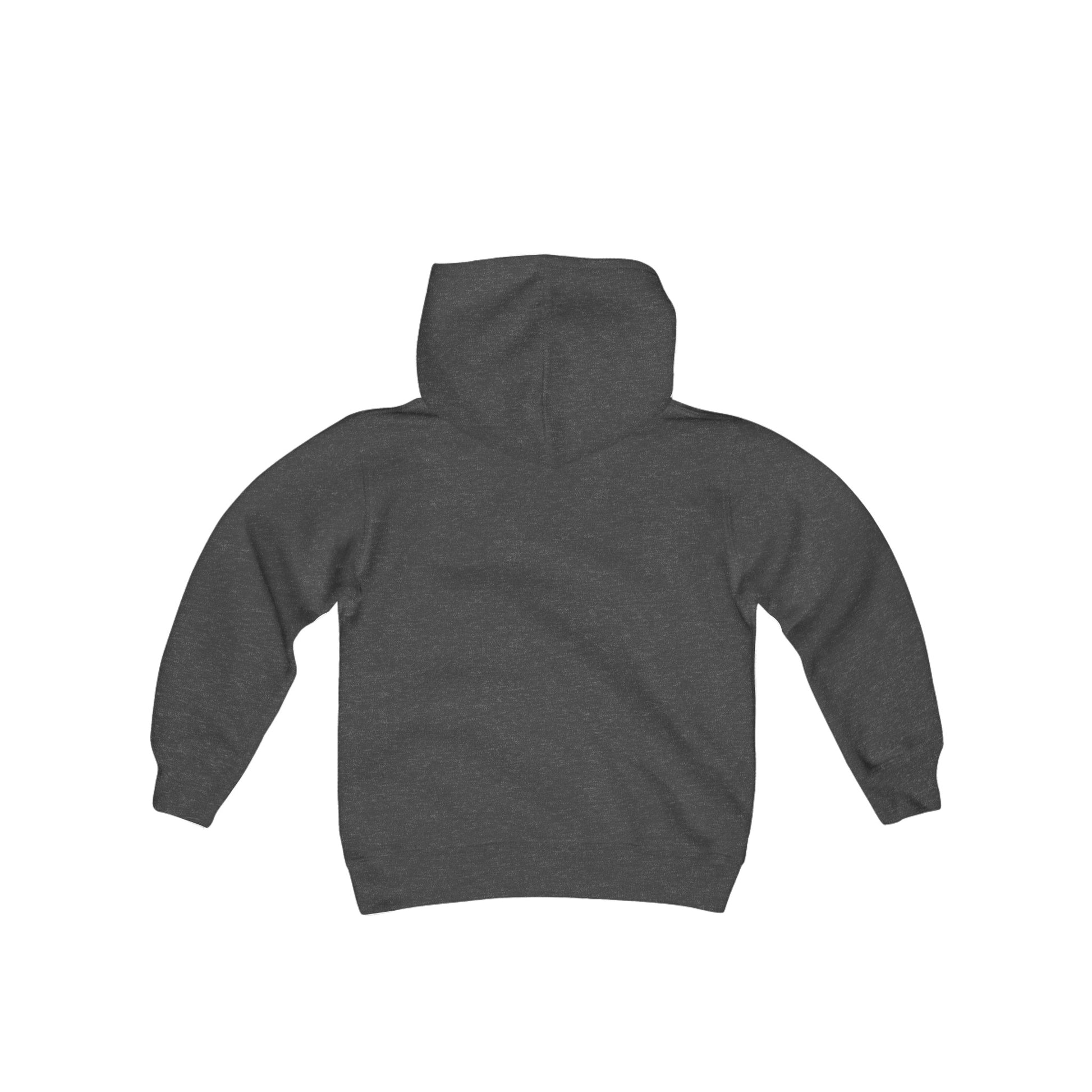 Youth Heavy Blend Hooded Sweatshirt with vector lion Design | OKEYCITY