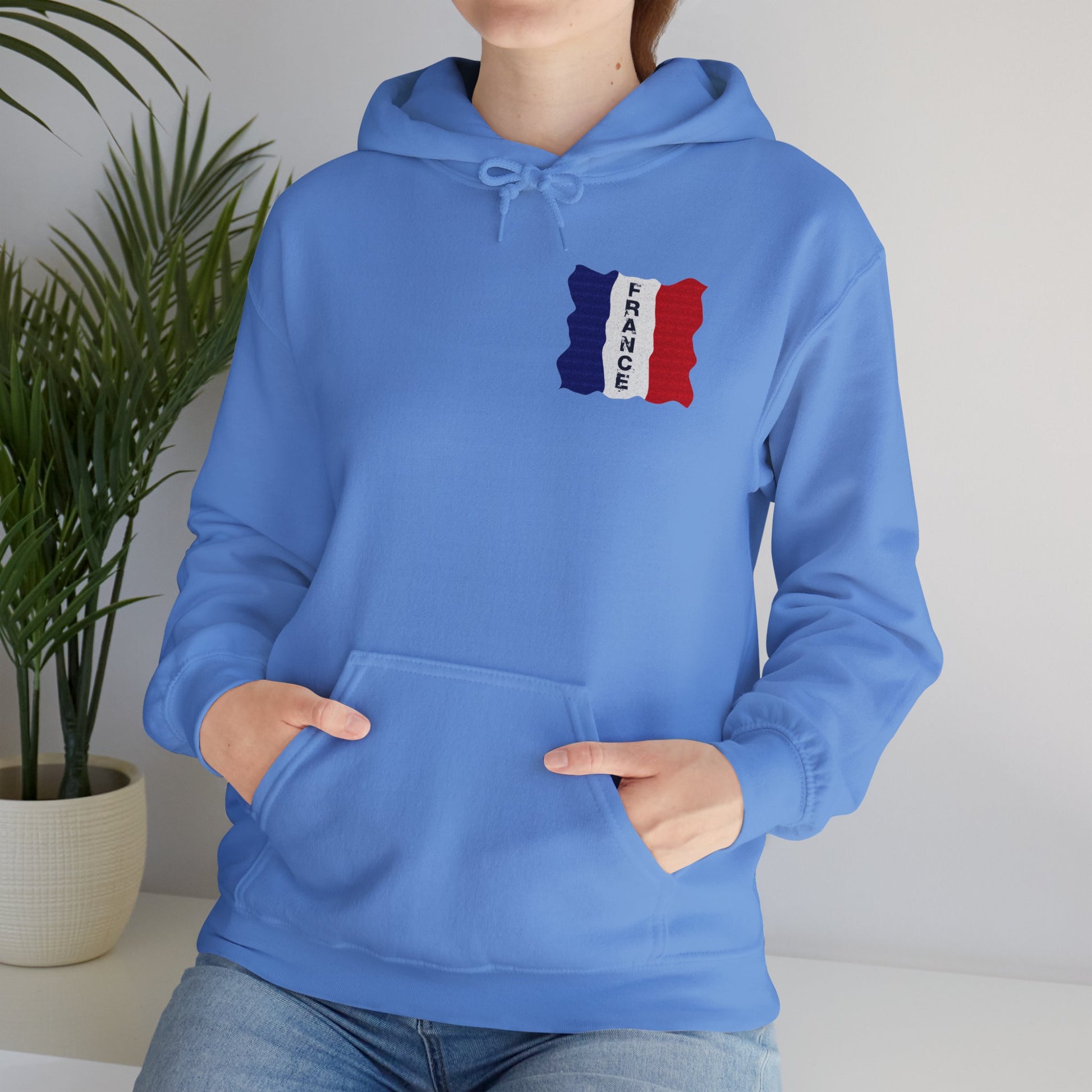 Unisex Heavy Blend™ Hooded Sweatshirt with flag france design | OKEYCITY