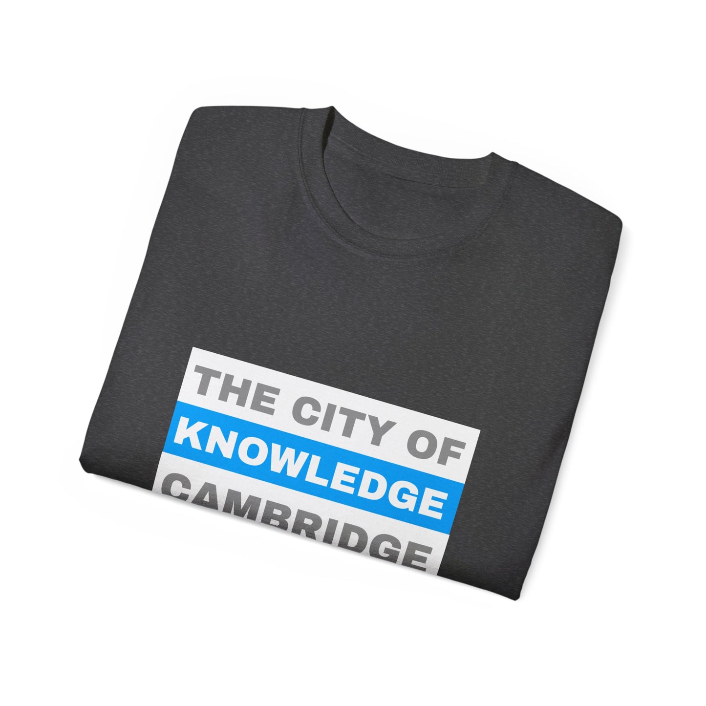 Unisex Ultra Cotton Tee with cambridge city Design | OKEYCITY